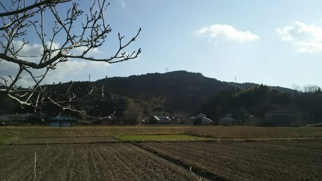 生まれ育った所へ_e0269170_16290141.jpg
