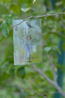 Flower Fairies 妖精たちの花便り 展_a0252678_20442528.jpg