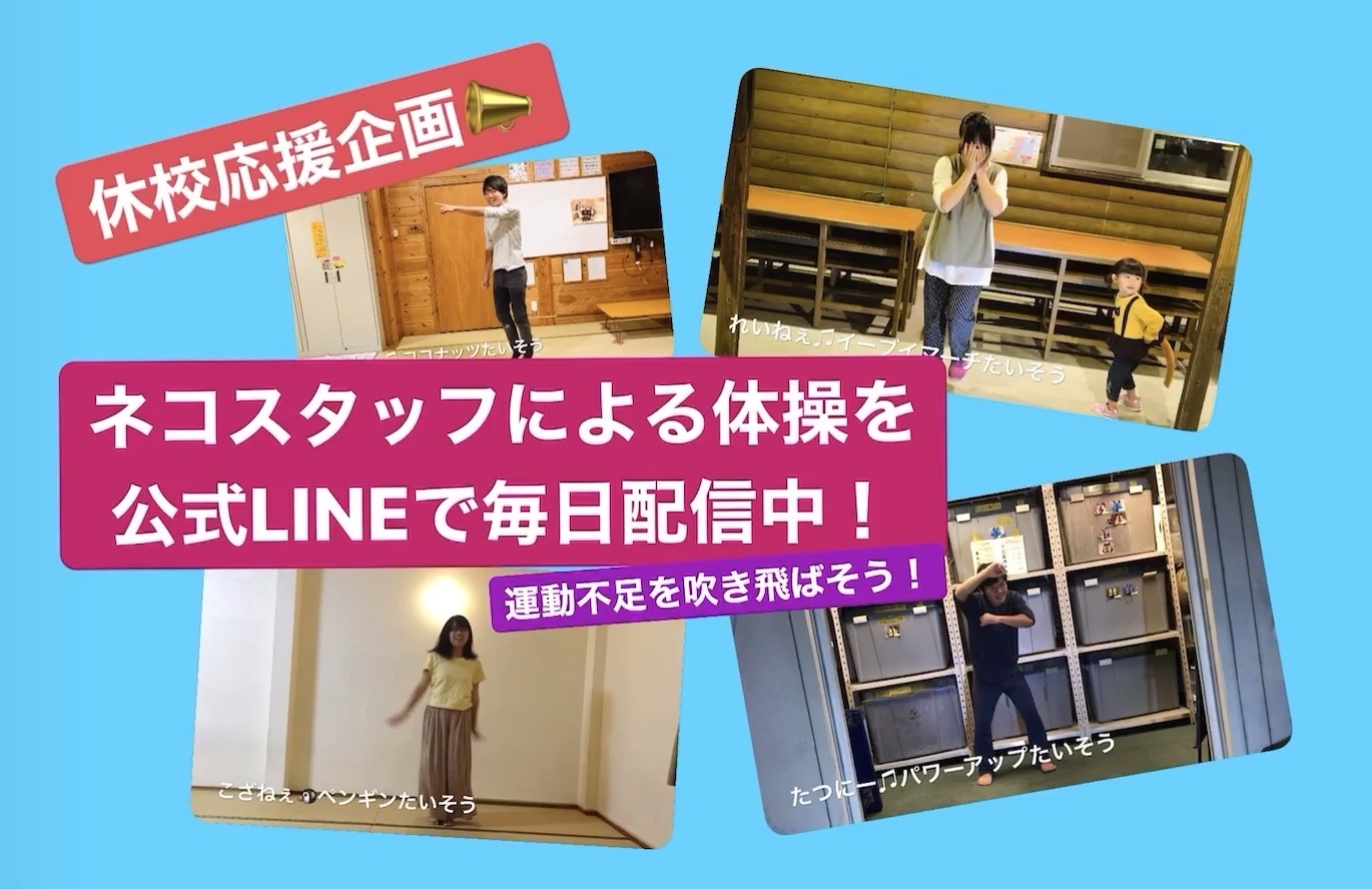 体操ビデオ配信中 ネコわく公式lineではスタッフによるキャンプ体操ビデオを毎日配信中 休校で運動していない身体を動かそう ねこんちゅ通信 ネコのわくわく自然教室 体操ビデオ配信中 ネコわく公式lineではスタッフによるキャンプ体操ビデオを毎日配信中 休校で運動していない身体を動かそう ねこんちゅ通信 ネコのわくわく自然教室