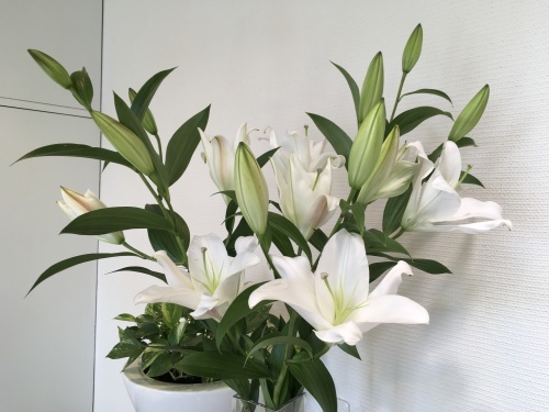 今週のお花_f0347891_20130954.jpeg