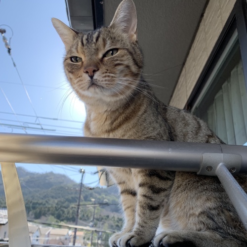さて　一歩_e0358096_19284380.jpeg