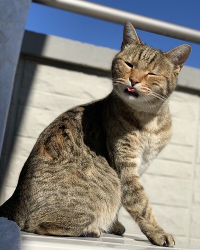 さて　一歩_e0358096_19320896.jpeg