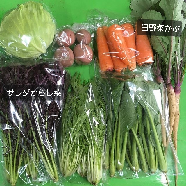 日野菜かぶ サイレントファームより_b0345420_00340660.jpg