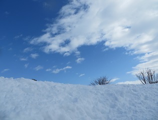 大雪のあと_b0405523_00472311.jpg