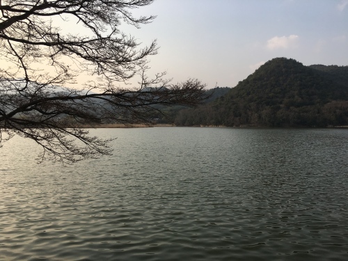 小さな楽しみを見つける_a0197730_15560231.jpg
