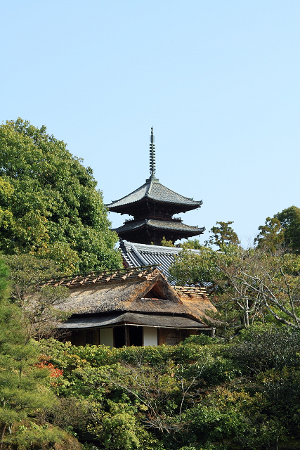 京都回顧 －きぬかけの路 御室仁和寺～COFFEE FUKUI－_b0169330_9105931.jpg