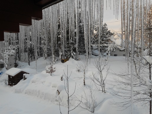白馬村岩岳の思い出・・・_a0124543_14164486.jpg