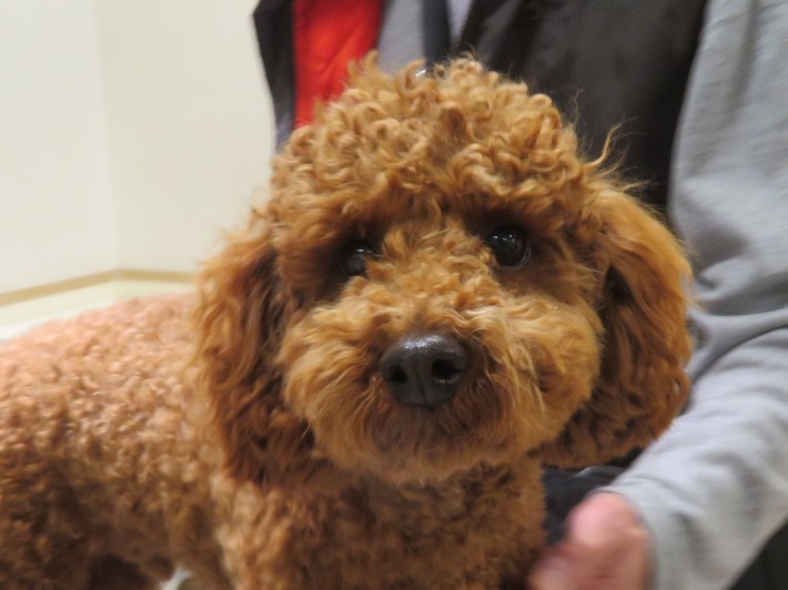 3 月 7 日の写真_c0174644_18425573.jpg