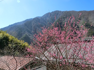 早春の赤沢宿2020_f0019247_10105343.jpg