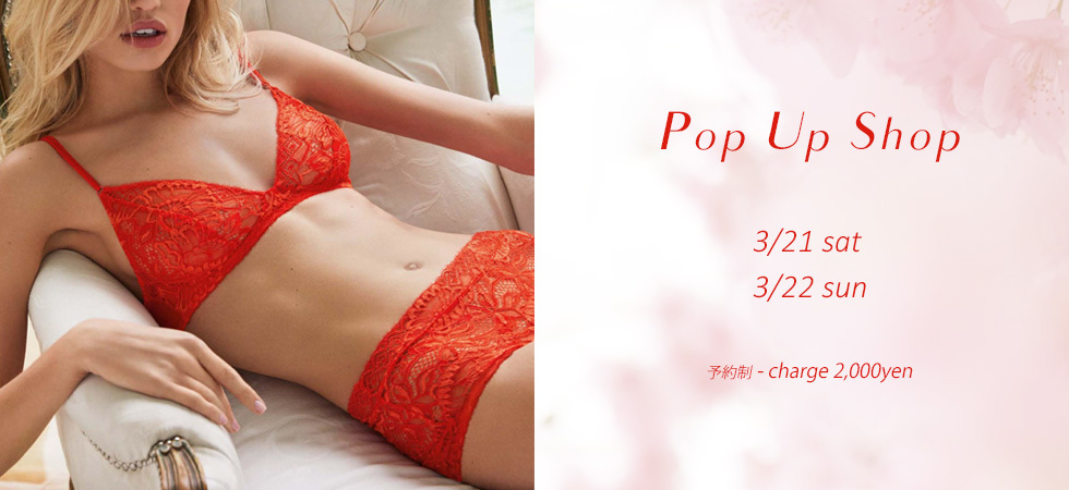 Pop Up Shop 3/21-22_e0219353_14355605.jpg