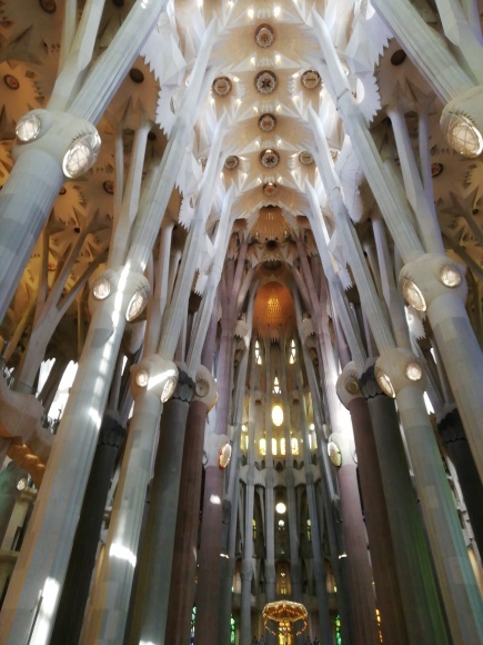 主人に今までの感謝を込めてスペイン旅行_f0340068_15040173.jpg
