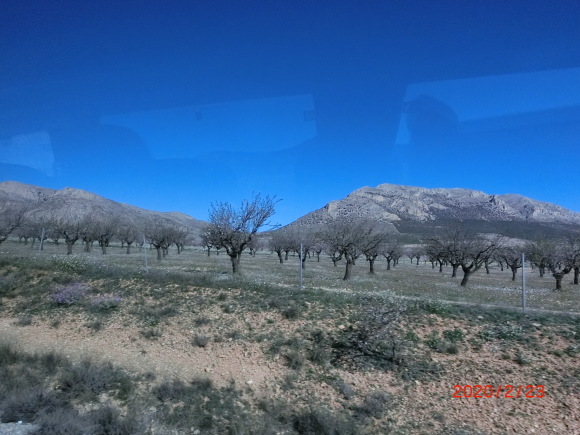 主人に今までの感謝を込めてスペイン旅行_f0340068_15095212.jpg