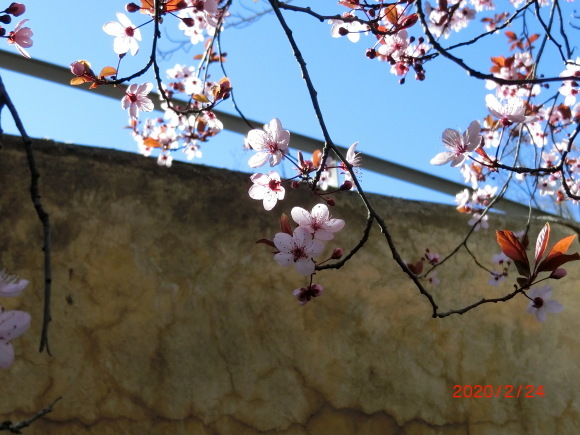 主人に今までの感謝を込めてスペイン旅行_f0340068_15151774.jpg