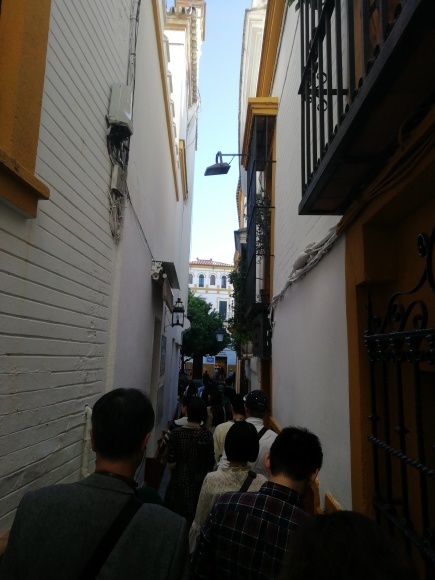 主人に今までの感謝を込めてスペイン旅行_f0340068_15302664.jpg