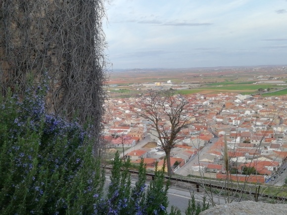 主人に今までの感謝を込めてスペイン旅行_f0340068_15422187.jpg