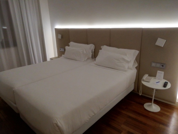 主人に今までの感謝を込めてスペイン旅行_f0340068_15440964.jpg