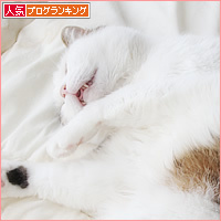 しあわせなベッド_a0389088_08010571.jpg