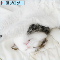 しあわせなベッド_a0389088_08010593.jpg