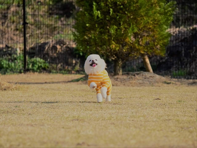 週明けは通院決定_d0360206_00103407.jpg