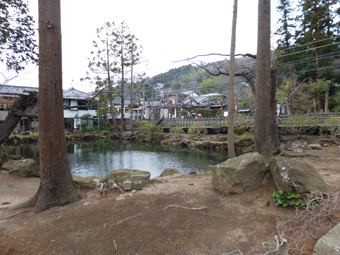 円覚寺のガーゴイル_c0195909_09585031.jpg