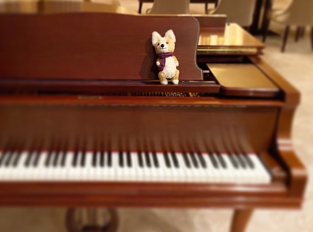 3月のピアノレッスンについて_f0190816_0481628.jpg