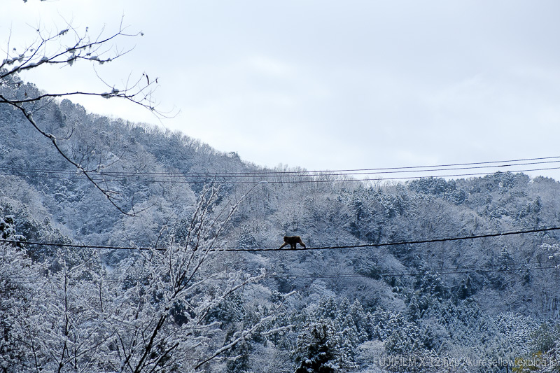 雪の洛北 出町柳駅と八瀬比叡山口 ぴんぼけふぉとぶろぐ2