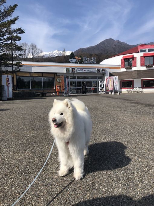 2020年冬 群馬~岐阜~石川県旅行 その1_f0128542_01503168.jpg