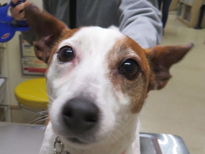 3 月 8 日の写真_c0174644_09534353.jpg