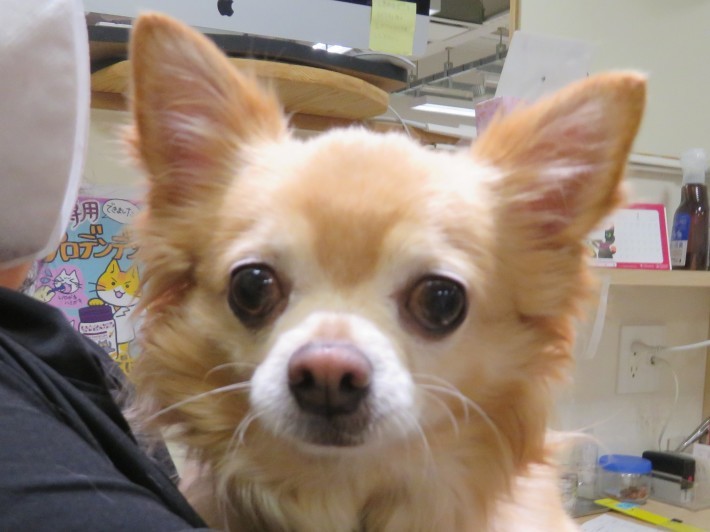 3 月 8 日の写真_c0174644_09534392.jpg