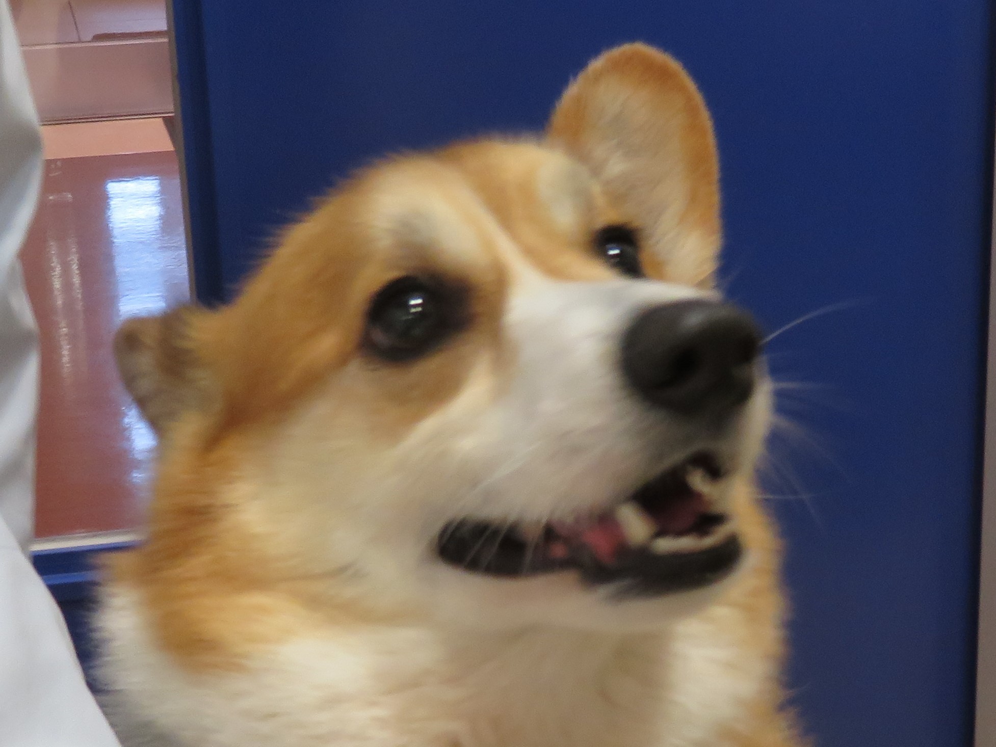 3 月 8 日の写真_c0174644_11190416.jpg