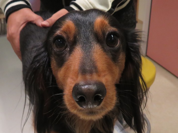 3 月 8 日の写真_c0174644_11190581.jpg