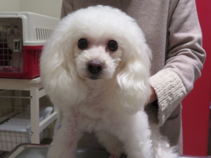 3 月 8 日の写真_c0174644_13474775.jpg