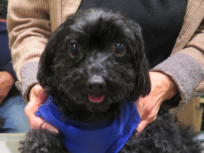 3 月 8 日の写真_c0174644_13474983.jpg