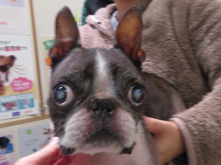 3 月 8 日の写真_c0174644_13501847.jpg