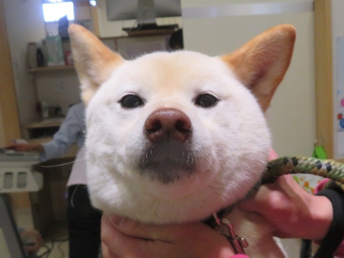 3 月 8 日の写真_c0174644_13501895.jpg
