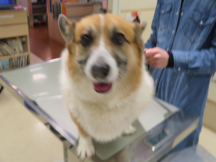 3 月 8 日の写真_c0174644_13534263.jpg