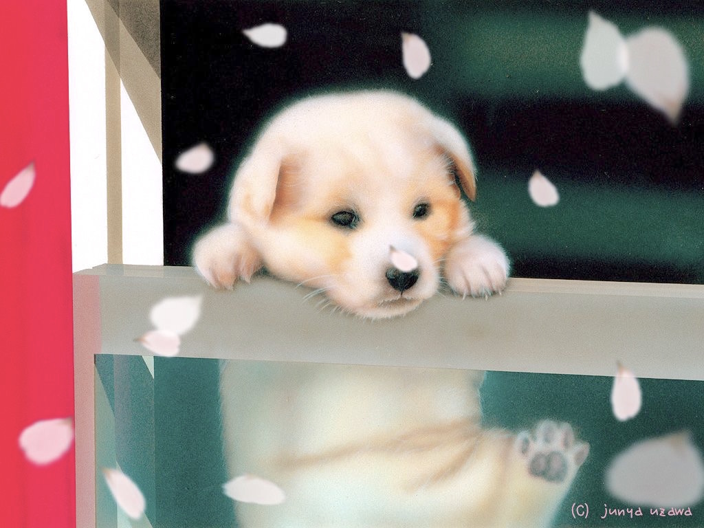 3月のデスクトップピクチャ 壁紙 Junya Blog 猫 犬 リアリズム絵画