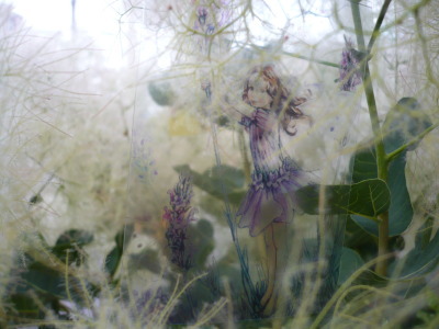 Flower Fairies 妖精たちの花便り 展_a0252678_15415387.jpg