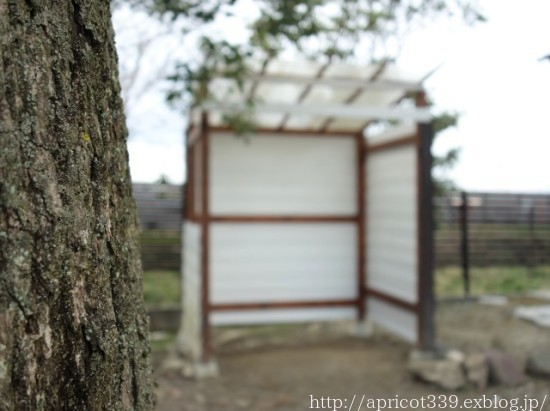 初春の庭しごと 小屋のペンキ塗り_c0293787_11024423.jpg