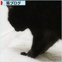 猫のもみもみ_a0389088_05461220.jpg