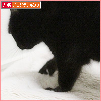 猫のもみもみ_a0389088_05461395.jpg