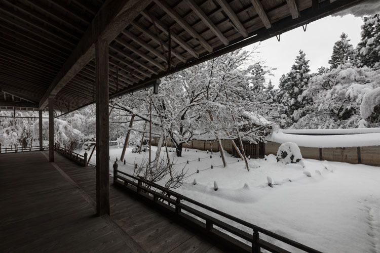 常照皇寺_e0051888_08163824.jpg