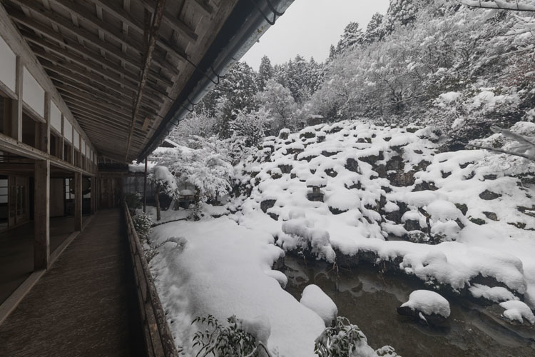 常照皇寺_e0051888_08192614.jpg