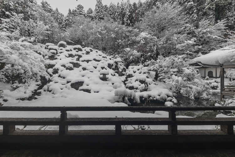常照皇寺_e0051888_08192712.jpg