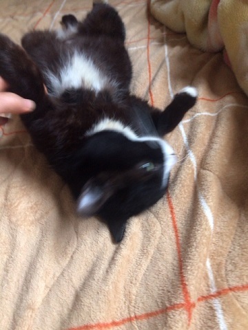 緊張なんてナッシング_f0242002_20275417.jpg