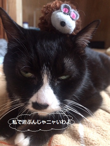 緊張なんてナッシング_f0242002_20284476.jpg