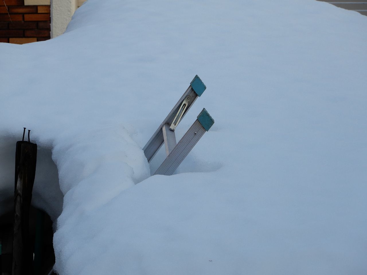 気温は二桁に突入_c0025115_21434211.jpg
