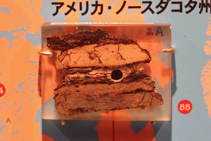 恐竜博2019~ティラノサウルス「スコッティ」とK/Pg境界_b0355317_21521028.jpg