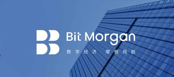 Morgan集団がブロックチェーンをレイアウトし、間もなく発行する_a0390018_02455035.jpg