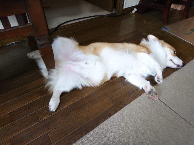 ’19年 10月ダイジェスト part1_e0071225_14382191.jpg